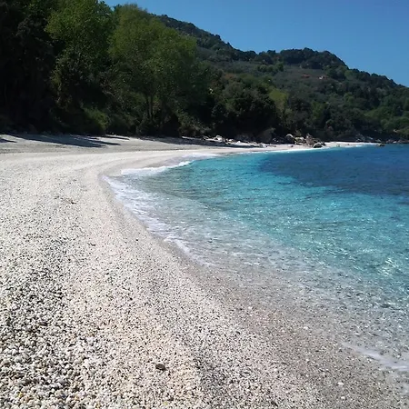 Elsa * Agios Ioannis (Thessaly)